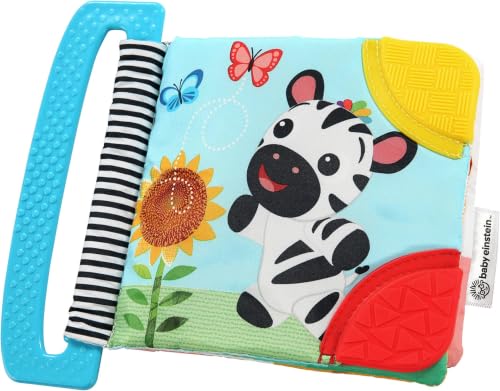 Image of Baby Einstein Curious Explorers Teether Book Take-Along Toy, Ages Newborn +, Multicolored (Pack of 6)