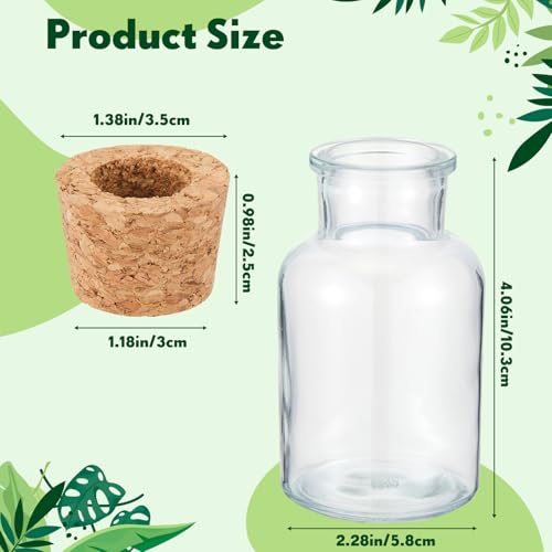 Acellegic 12 Pack Glass Plant Propagation Stations, Cylindrical by Acellegic - Image 2