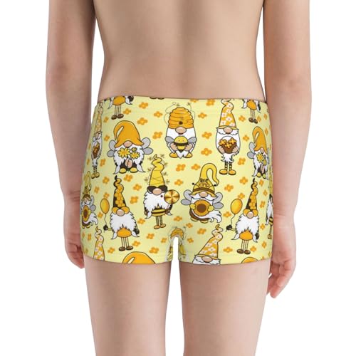 Boys' Cotton Boxer Brief Soft Underwear-Garden Honeybee Gnomes3
