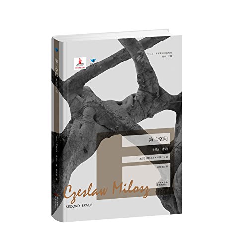 Second Space (Chinese Edition) [Chinese] 7536074476 Book Cover
