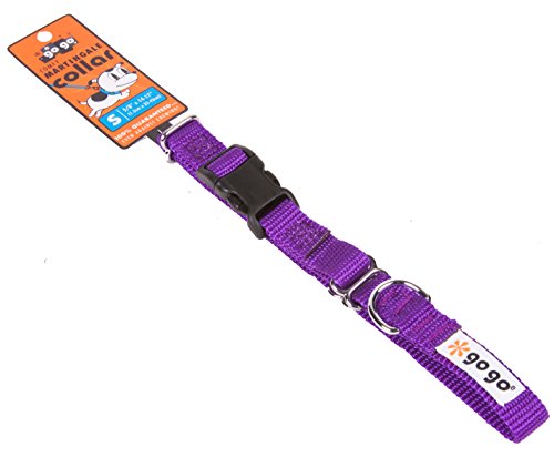 Gogo Pet Products Gogo 5/8-Inch Martingale Dog Collar, Small, Purple #TOP1