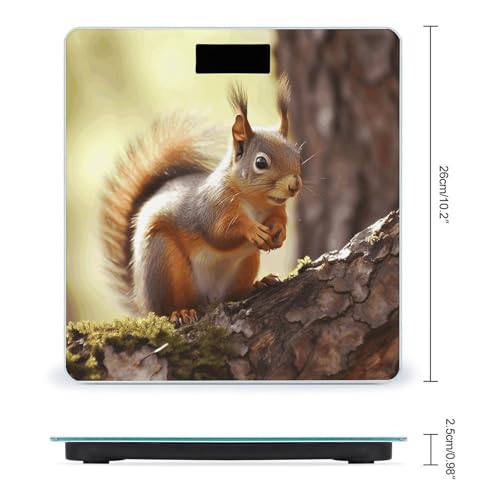 Báscula digital Funny Squirrel de vidrio templado miniatura 2