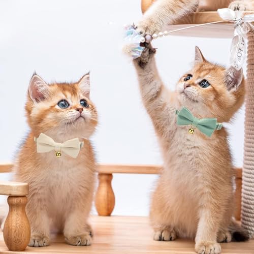 Collares para gatos de pana con campana pack de 2 unidades blanco y verde 7