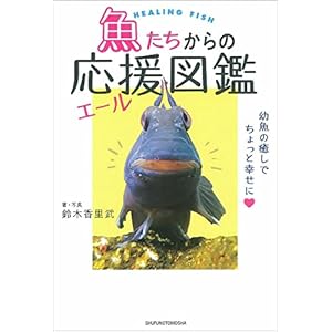 魚たちからの応援(エール)図鑑