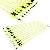 JY-Sports Targeting Arrows 30'' Inch Carbon Fiber Hunting Arrows Outdoors Archery Green Shaft with Replace Arrow Tips and Removable Nock for Compound Bow a Dozen Arrows in Box (Green)