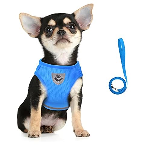 FEimaX Dog Harness and Leash Set for Walking, Soft Mesh Adjustable Easy Control Lightweight Cat Vest Harnesses with Reflective Strips, Escape Proof Small Dogs Cats Vests (Azure, X-Small) Cover