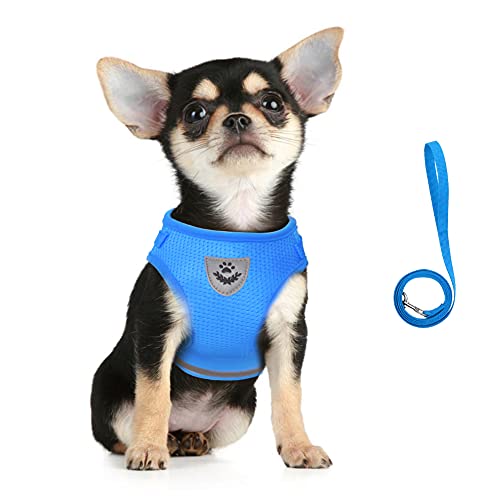 Image of FEimaX Dog Harness and Leash Set for Walking, Soft Mesh Adjustable Easy Control Lightweight Cat Vest Harnesses with Reflective Strips, Escape Proof Small Dogs Cats Vests (Azure, Small)