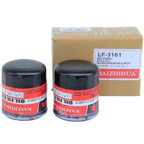 2-PACK 3161 Oil Filter Replace 3710280M3, 6213-240-002-2 Fits Agco Massey Ferguson GC1710 GC1715 GC1720 GC1713E GC1725M 1205 1210 1215 1230 1220 1225 1233 1235 1240 1250 1417 1423 1433 1428 ST30 1825E