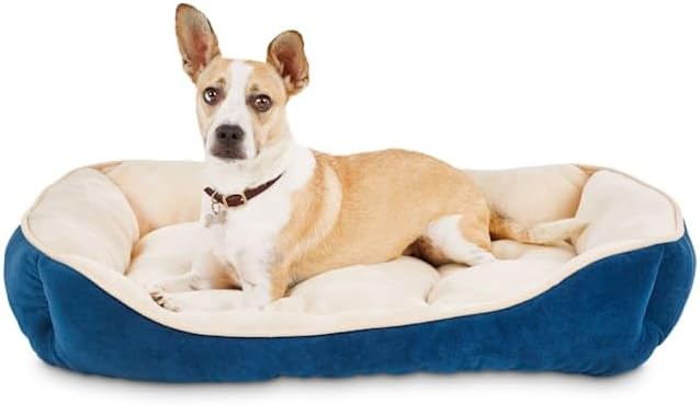 EveryYay Essentials Snooze Fest Rectangle Nester Dog Bed, 32" L X 24" W, Blue