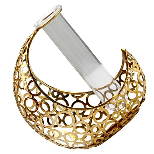 Toddmomy Vase Tube Hydroponique Et Décoration Nordique pour Plantes Et Fleurs Centre De Table Élégant pour Salon Et Chambre Design Unique Forme De Lune pour Décor Intérieur