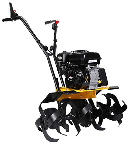 Texas Motobineuse Thermique 208 cm3 5,6cv Moteur Briggs et Stratton Travail 36 à 85cm Lilli 534B