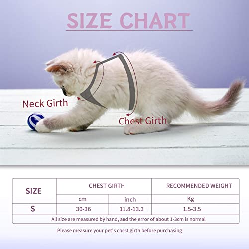 Cat Vest Harness and Small Dog Vest Harness for Walking, All Weather Mesh Harness, Cat Vest Harness with Reflective… - Image 3