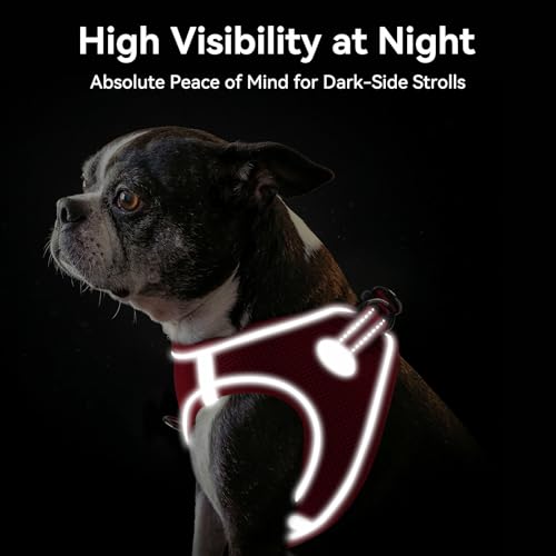 Joytale Hundegeschirr, Reflektierend Weich Gepolstert Hunde Geschirr, Air-Mesh Atmungsaktiv Brustgeschirr für Kleine Mittelgroße Hunde, M, Rot