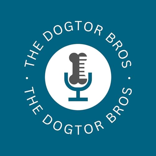 Couverture de The Dogtor Bros