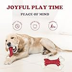 Tough Dog Toys, Toys for Aggressive Chewers Large Breed, Chew Dogs, Bone Toy Nylon Dogs Almost Indestructible - Image 2
