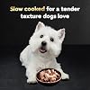 Cesar Filets in Gravy Adult Wet Dog Food Variety Pack, Poultry Lovers with Rotisserie Chicken Flavor and Turkey Recipe, 3.5 oz. Easy Peel Trays, Variety Pack, 12 Count (Pack of 2)