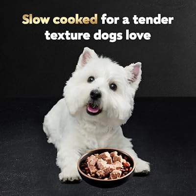 Cesar Filets in Gravy Adult Wet Dog Food Variety Pack, Poultry Lovers with Rotisserie Chicken Flavor and Turkey Recipe, 3.5 oz. Easy Peel Trays, Variety Pack, 12 Count (Pack of 2)