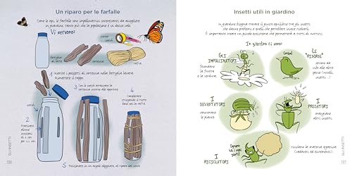 Conoscere E Proteggere La Piccola Fauna Urbana. Uccelli, Scoiattoli, Ricci, Api... - 12