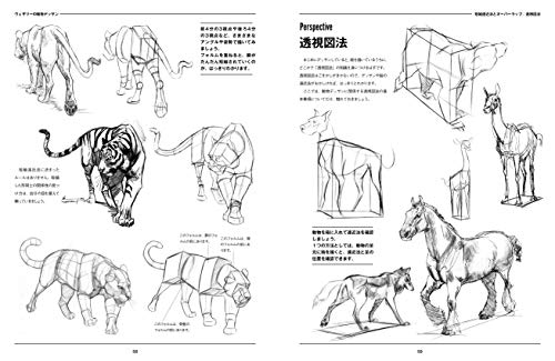 キツネの絵の描き方