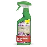 Neudorff BioKraft Vitalkur für Orchideen AF – Anwendungsfertiges Spray vitalisiert geschwächte Orchideen und fördert die Blütenbildung, 500 ml