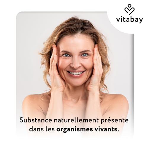 Vitabay Spermidine 6 mg hautement dosée – 120 gélules véganes – vue 7