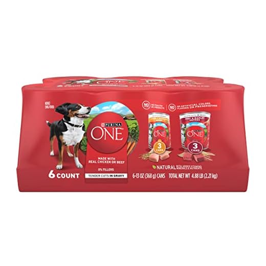 Purina ONE Tender Cuts in Gravy Chicken and Brown Rice, and Beef and Barley Entrees Wet Dog Food Variety Pack - (2 Packs of 6) 13 oz. Cans