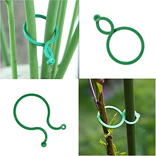 Metdek 50 Pcs Clips de Jardin Support pour Plantes Clips Twisty Plante Anneaux, Plante Réutilisables Clip Support de Plante Jardin Clip Plastique pour Jardin Vigne Légumes Les Plantes grimpantes. – vue 5