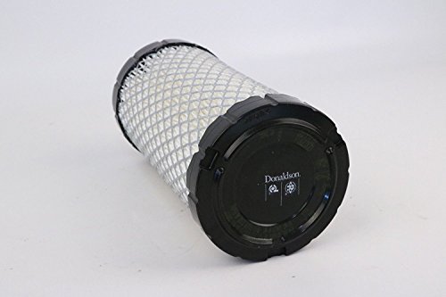 Donaldson P822686 Compatible with EZGO 28463G01 Air Filter Element (Canister Style)