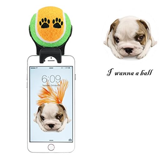 Smartphone Befestigung Selfie Stick für die Pet – Pet Selfie Stick, PET Agility Training – Pet Spielzeug