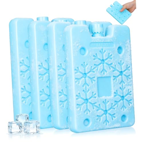 Toddmomy Reusable Ice Pack 4 Pack with Screw-on Lid for Coolers Home