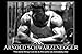 Arnold Schwarzenegger Inspiration Bodybuilding poster 36 inch x 24 inch / 20 inch x 13 inch