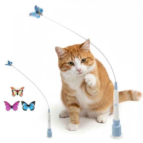 Juguete para gatos eléctrico interactivo Introti juguete para gatitos 3