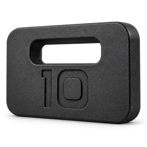 Fitvids Cast Iron Plate, Weighted Plate for Swings, Squat, Strength Training, Fitness Workout, and Home Exercises, 10-Pound