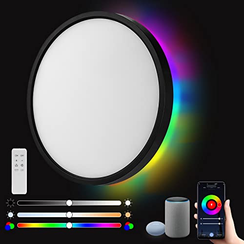 Roomratv 15.8Inch Smart Ceiling Light, Alexa Ceiling Light With Remote Control, Rgb Color Changeable, Black Flush Mount Ceiling Light With App Control,24W+4W, Input 120V #TOP9