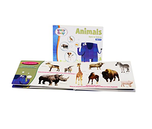 Brainy Baby All In One Preschool Learning For A Lifetime System Dvds, Books, Flash Cards And Cds - 9 Subjects - Deluxe Edition #TOP6