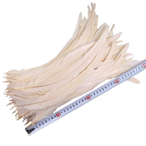 Decorative Feathers Rooster Tail Feathers 50PCS 35-40CM Natural