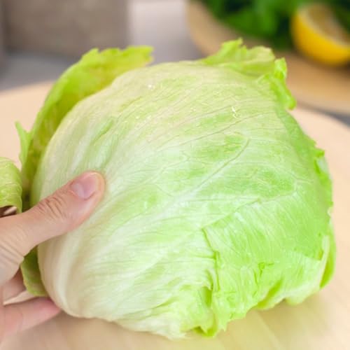Semillas de lechuga iceberg orgánicas, Semillas de variedades antiguas de jardin orgánicas 200pcs