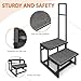 Euisiant 2-Step Stool with Handles for Elderly, Heavy Duty Stainless Steel Non-Slip Step Stool (Black, with Extra Handle)