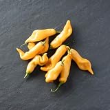 25 Seeds Aji Sugar Rush Peach Pepper Hot Sweet Fruity Capsicum Baccatum Vegetable