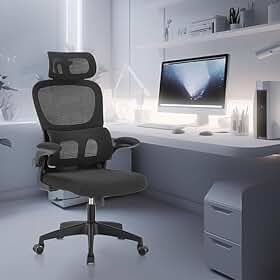 Cadeira de Escritório Premium Ajuste Lombar Apoio de Cabeça Ajustável Ergonômica