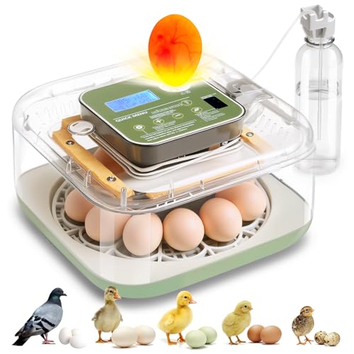 Incubator for Hatching Eggs Automatic Humidity and Temperature Control 12 Eggs Incubator, Digital Display Auto Turner 360° View Egg Candler for Chicken, Duck and Quail Bird Eggs