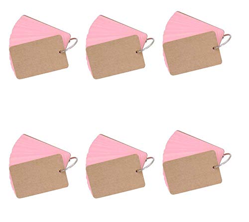 Vogueing Tool Revision Cards，Blank 6Pcs Study Cards Revision Paper Flip Index with Binder Ring(Pink)