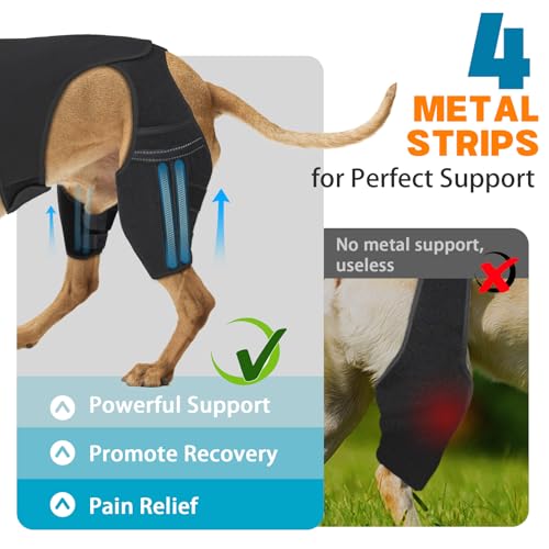 Supet Dog Knee Brace for Torn Acl Hind Leg, 4 Stabilizers Dog Leg Braces for Back Leg, Adjustable Hip Support to Reduces Pain, Ligament Injuries & Luxating Patella for Small Medium Large Dogs, XL - Thumbnail 2