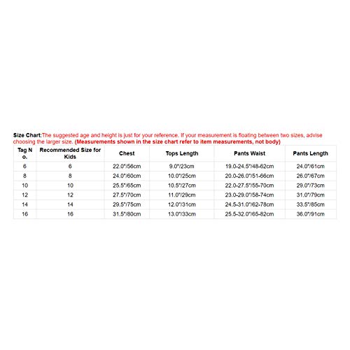 Qinciao Kids Girls Athletic Sports Bra Crop Top With Leggings Jazz Hip Hop Workout Gymnastic Dance Wear Outfit Leopard 8 #TOP6