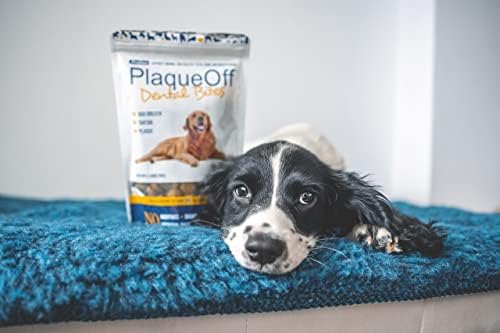 ProDen PlaqueOff Dental Bites 150g | For Dogs Over 10kg | Bad Breath, Plaque, Tartar