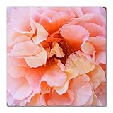 Finition : verre acrylique de haute qualité de 5 mm, impression excellente et brillante de qualité supérieure. Effets de profondeur fascinants grâce à l'impression directe professionnelle et aux couleurs vives. (Attention: Retirez le film protecteur bleu)