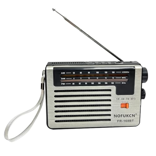 Portable Radio, AM/FM, Transistor with Bluetooth Function, Built-in Speaker, Powered by Small Battery or DC USB, Suitable for Indoor, Outdoor and Emergency use (FR-168BT)