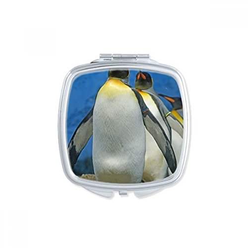 Miroir compact manchots Antarctique finition robuste et élégante - 2