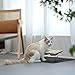 FUKUMARU Katzennapf Erhöht, 15° gekippte Futternapf für Katzen, mit rutschfestem Bambus und Metallhalter, Keramik Fressnapf und Wassernapf im Katzen Napfset für Katzen und Hunde