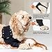 Suitical Recovery Sleeve Hund, M, Schwarz